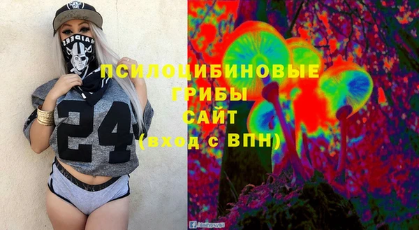 стаф Аркадак