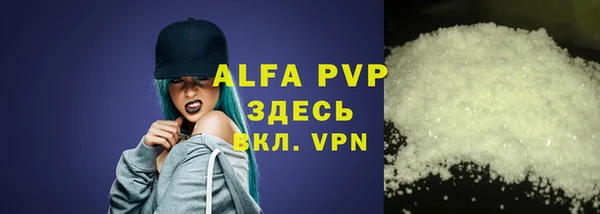 стаф Аркадак
