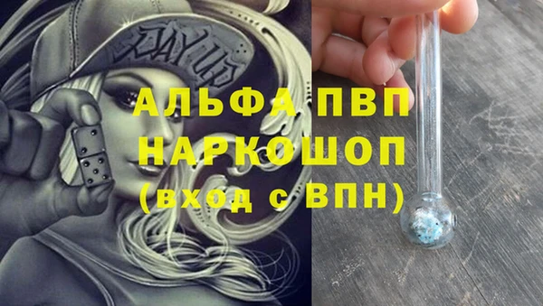 стаф Аркадак