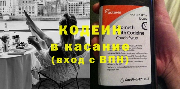 стаф Аркадак