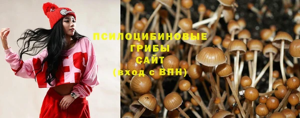 метадон Арсеньев