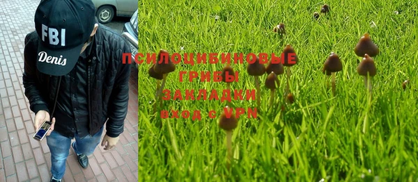 метадон Арсеньев